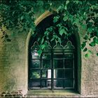 Kloster St. Jürgen, Kapelle, Fenster ...