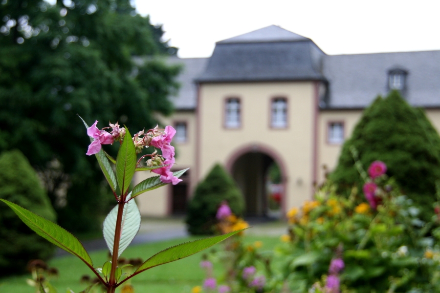 Kloster Steinfeld