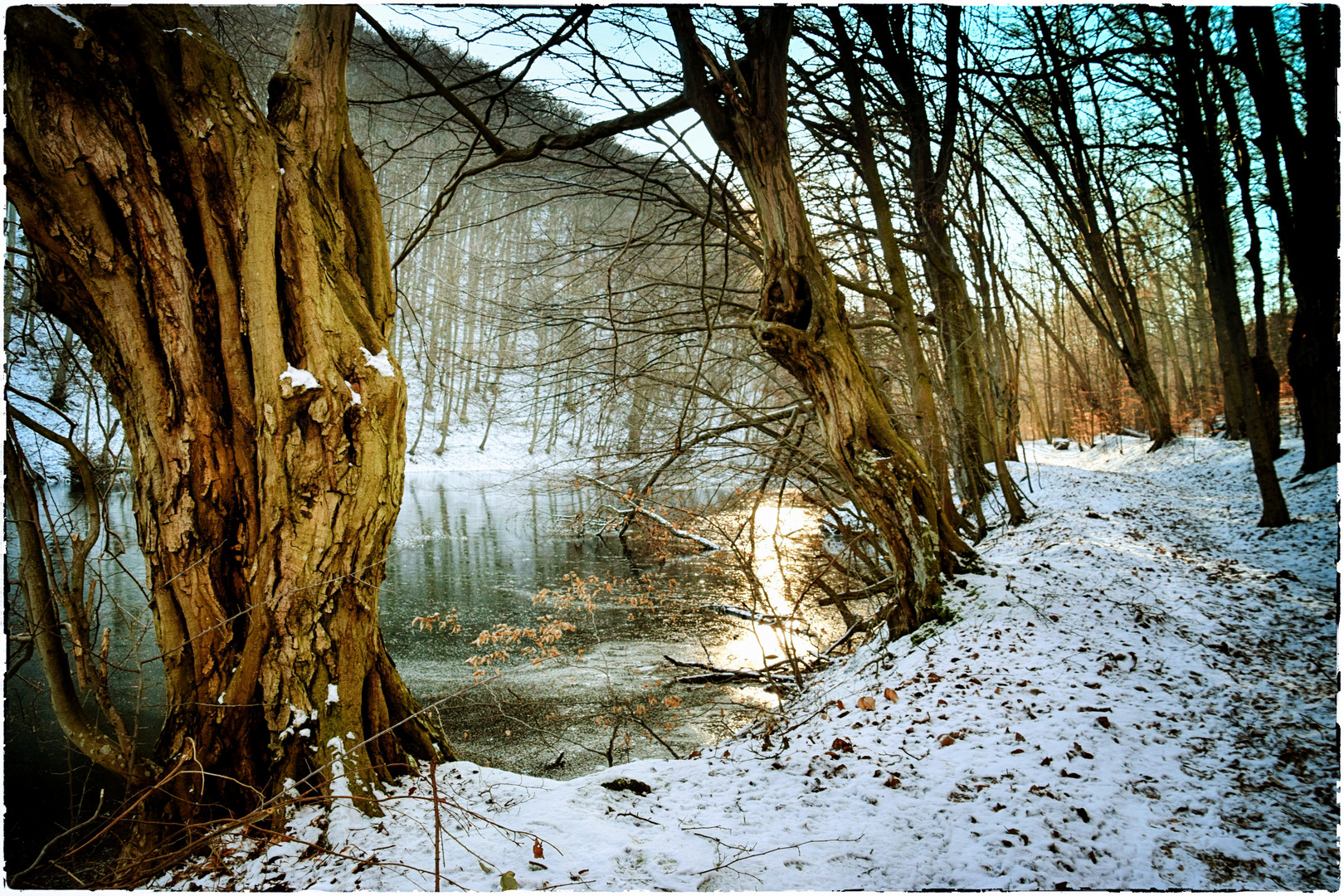 Kloster Teich 2