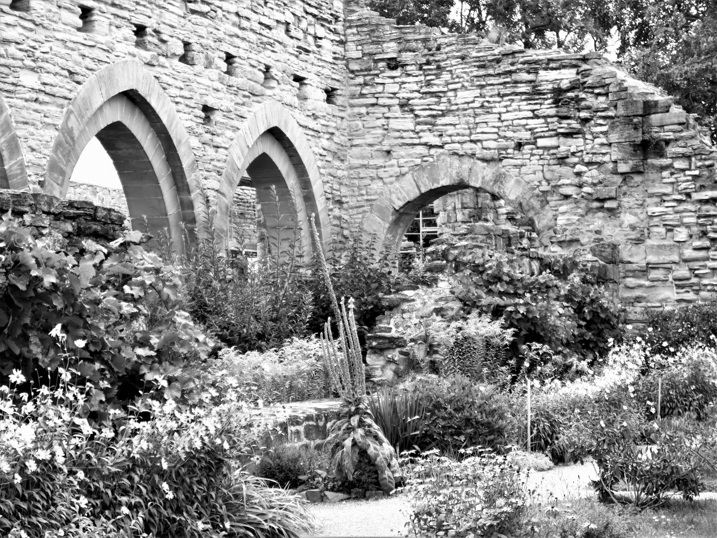 Kloster und Kaiserpfalz Memleben