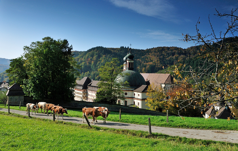 Kloster und Kirche von St. Trudpert im Münstertal Serie: Herbst Nr.a3