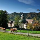 Kloster und Kirche von St. Trudpert im Münstertal Serie: Herbst Nr.a3