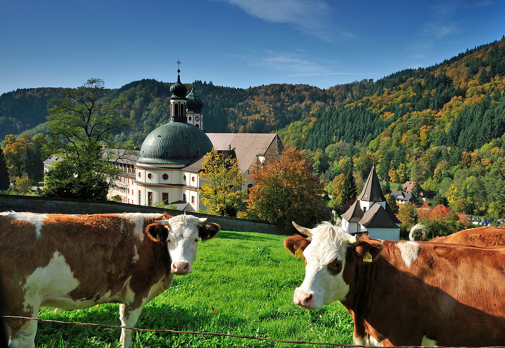 Kloster und Kirche von St. Trudpert im Münstertal Serie: Herbst Nr.a4