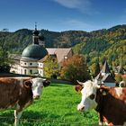 Kloster und Kirche von St. Trudpert im Münstertal Serie: Herbst Nr.a4