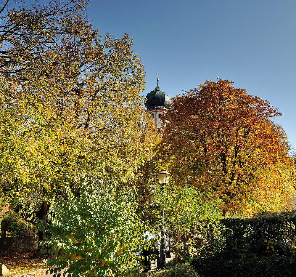 Kloster und Kirche von St. Trudpert im Münstertal Serie: Herbst Nr.a5