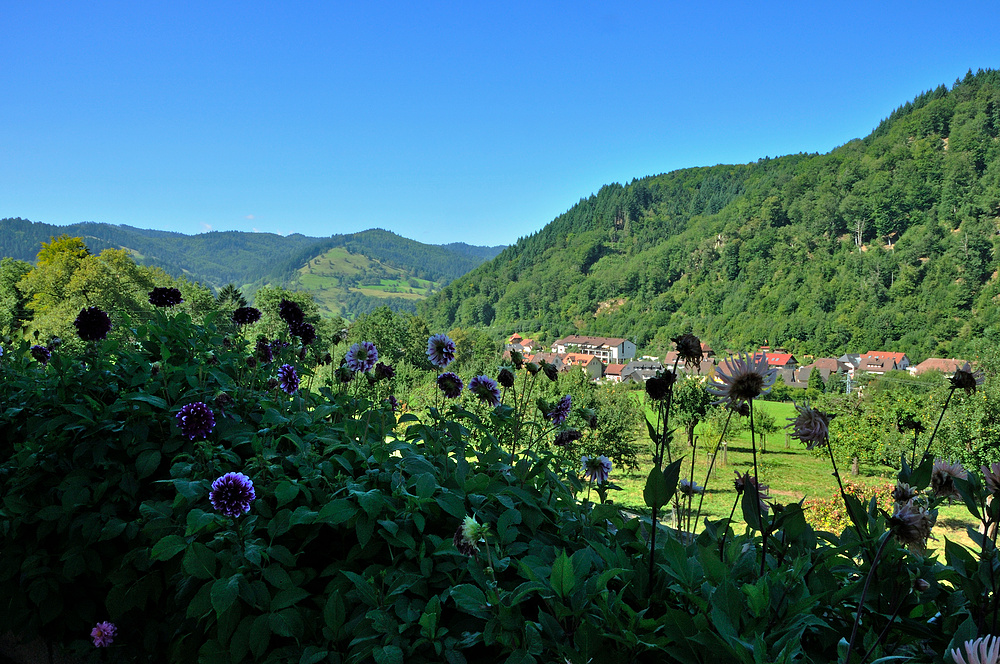 Kloster und Kirche von St. Trudpert im Münstertal Serie: Nr.10