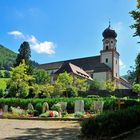 Kloster und Kirche von St. Trudpert im Münstertal Serie: Nr.26