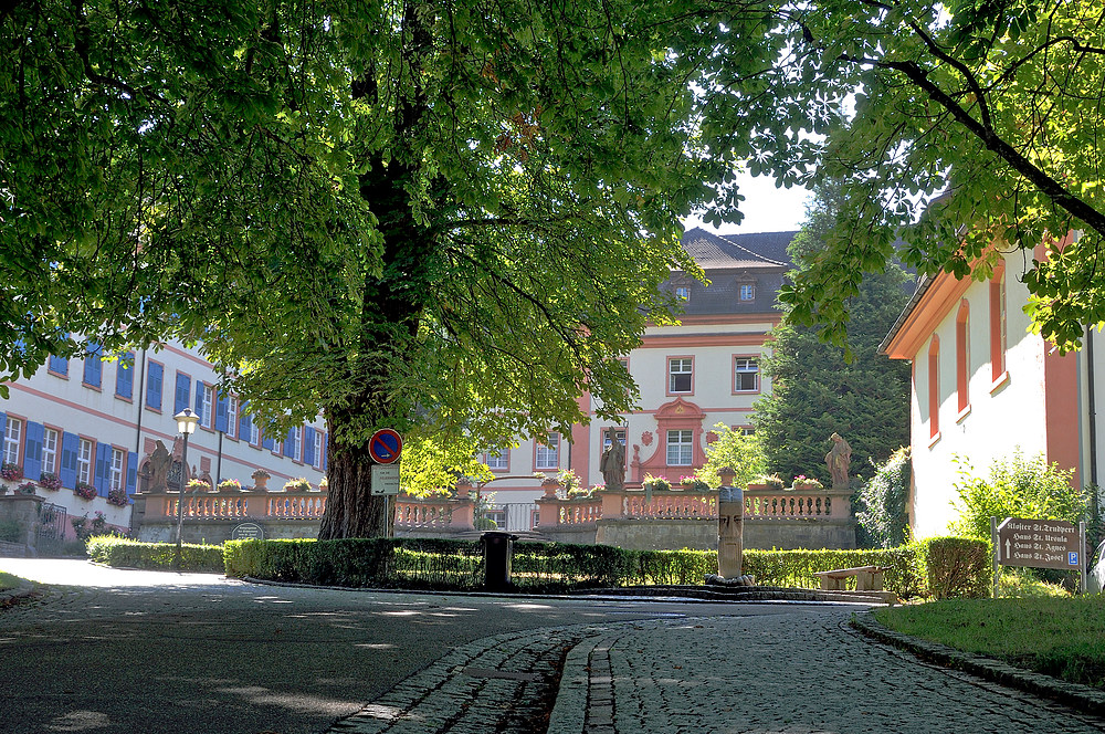 Kloster und Kirche von St. Trudpert im Münstertal Serie: Nr.3