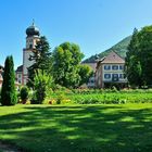 Kloster und Kirche von St. Trudpert im Münstertal Serie: Nr.8