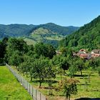 Kloster und Kirche von St. Trudpert im Münstertal Serie: Nr.9