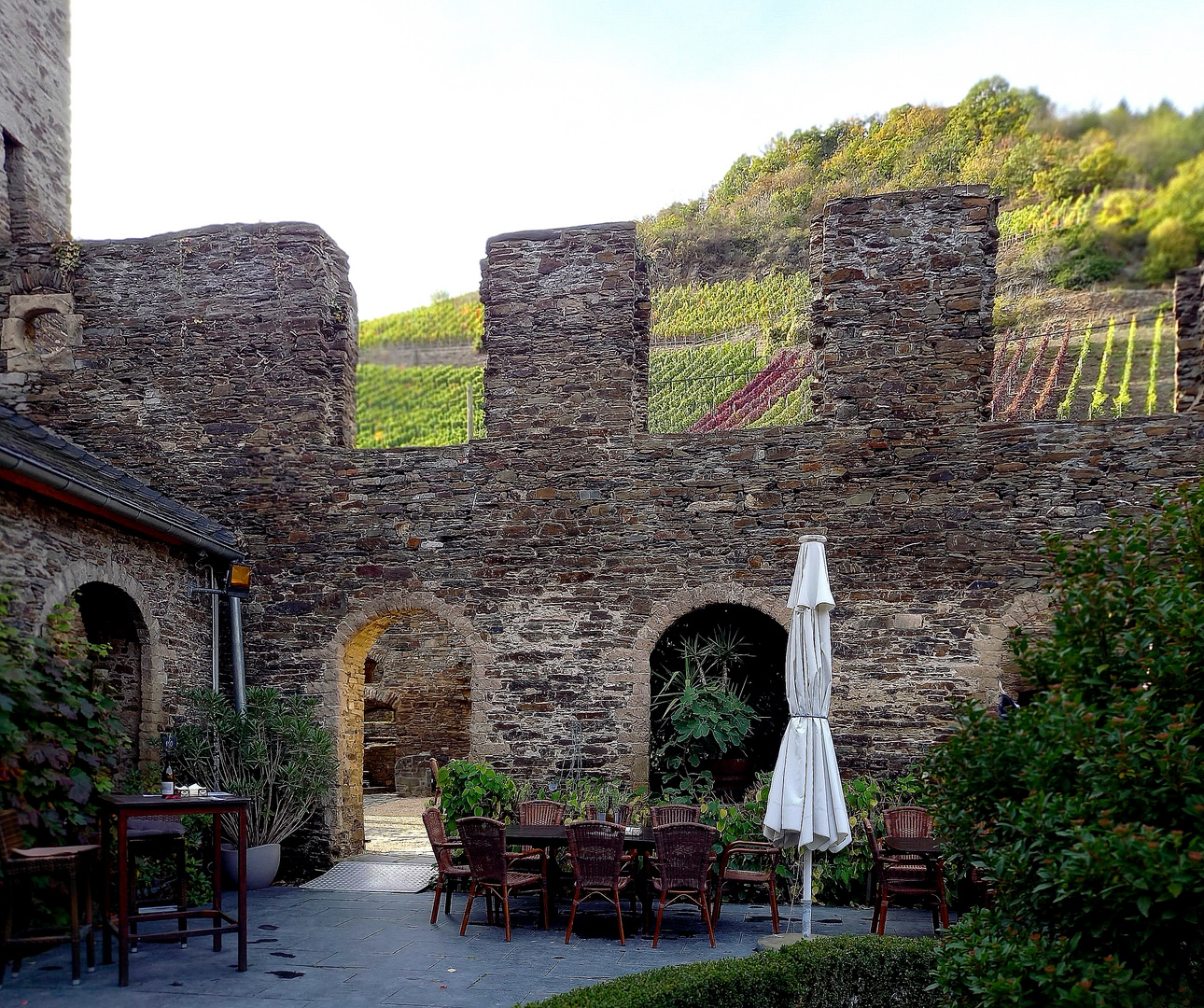 Kloster und Wein