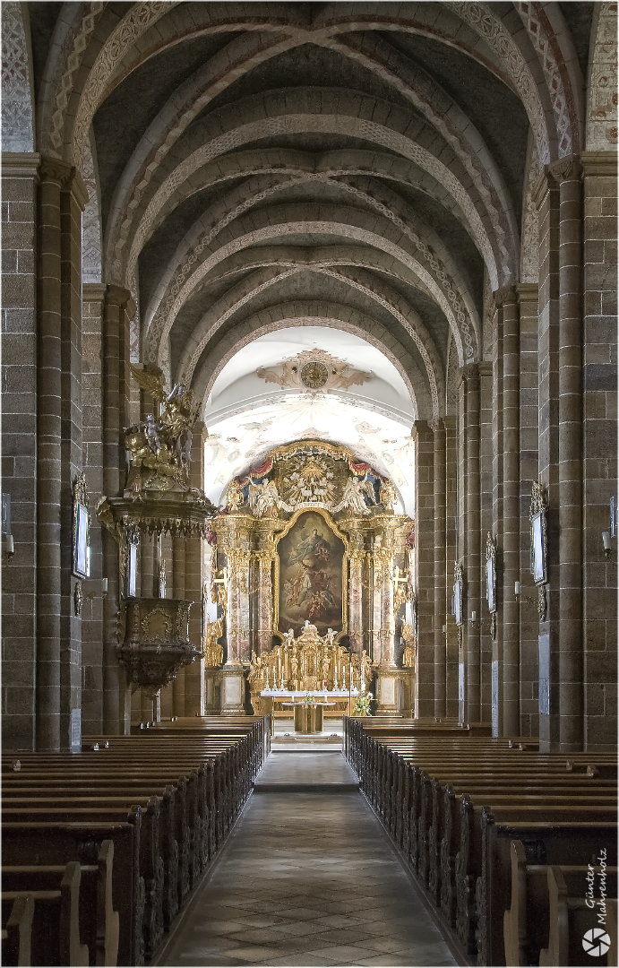 Kloster Walderbach, Kirchenraum