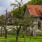 Kloster Walkenried mit Ruine