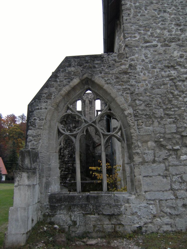 Kloster Walkenried (Südharz) II