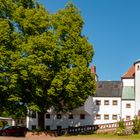 Kloster Wechselburg (1)