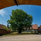 Kloster Wienhausen