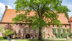 Kloster Wienhausen VII