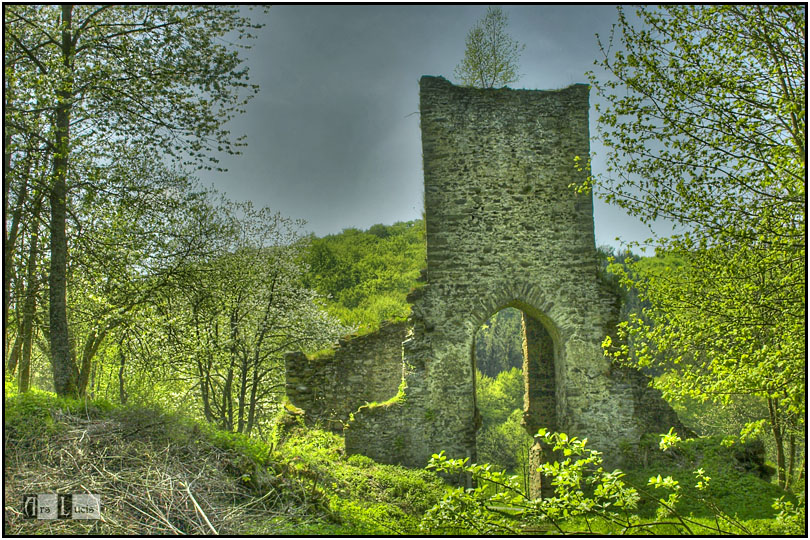 Kloster zu Landstein ....