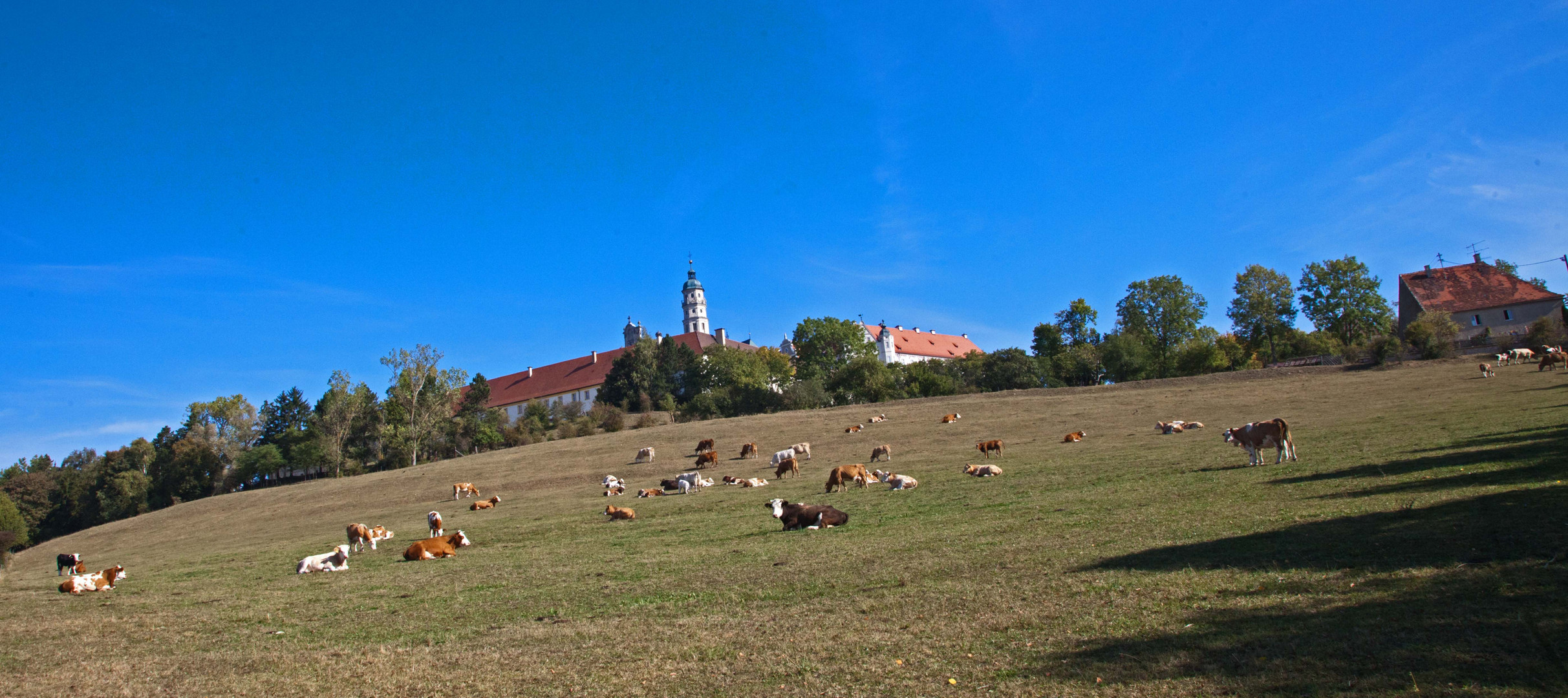 Klosterblick