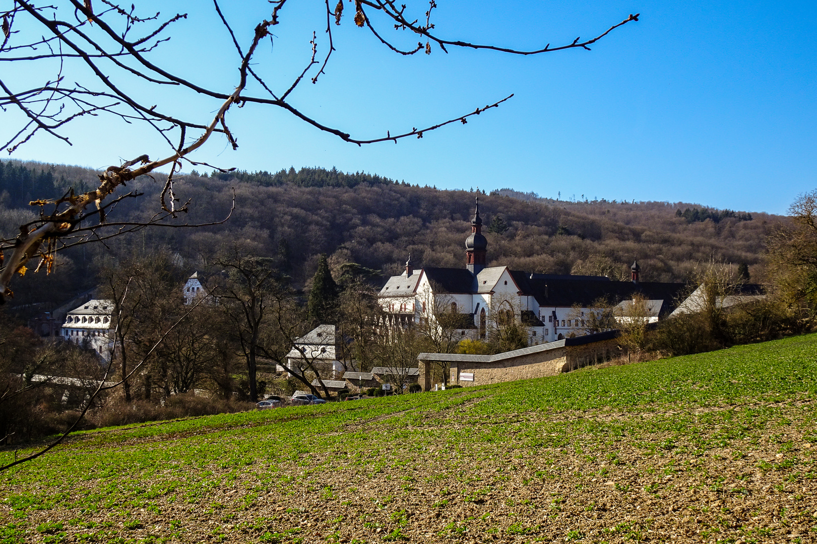 Klosterblick