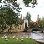 Klosterbrücke, Brügge