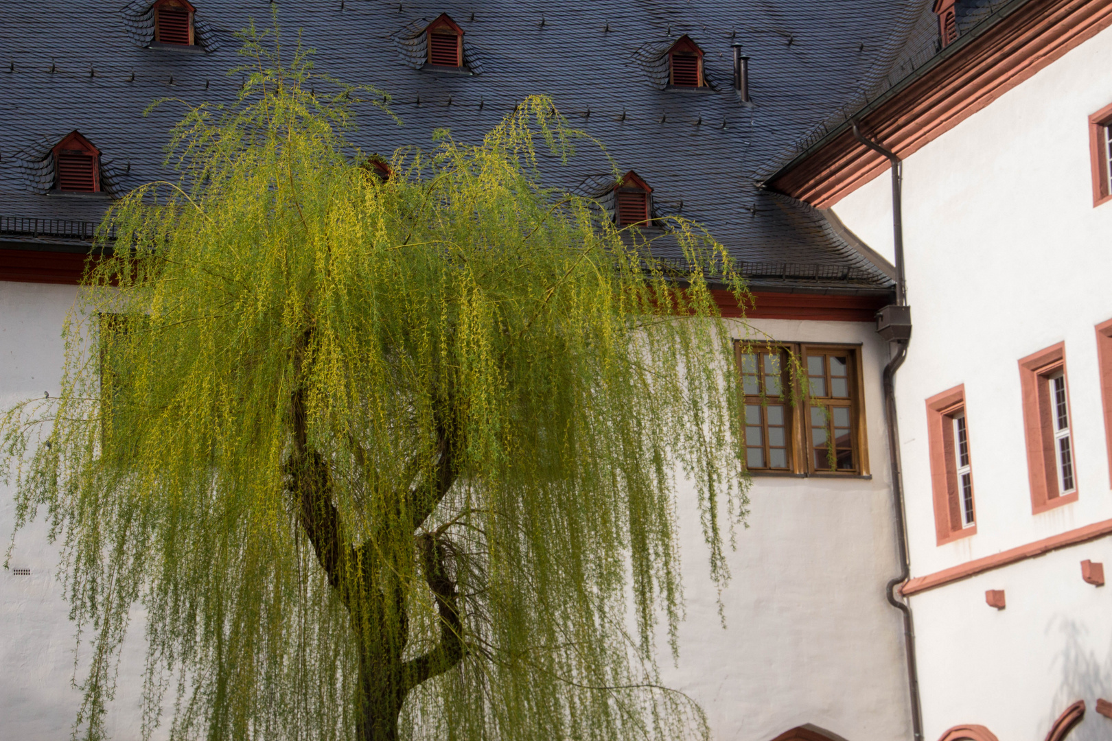 Klosterfrühling