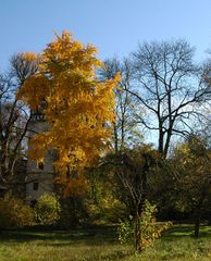 Klostergarten