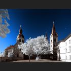 Klostergarten in Seligenstadt – Einhardbasilika –II–