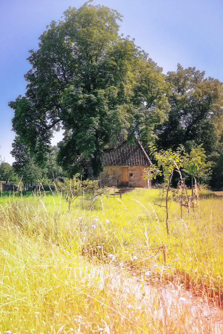 Klostergarten Riddagshausen 