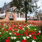 Klostergarten Seligenstadt