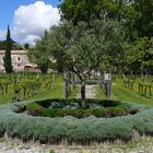 Klostergarten Valmagne