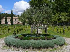 Klostergarten Valmagne