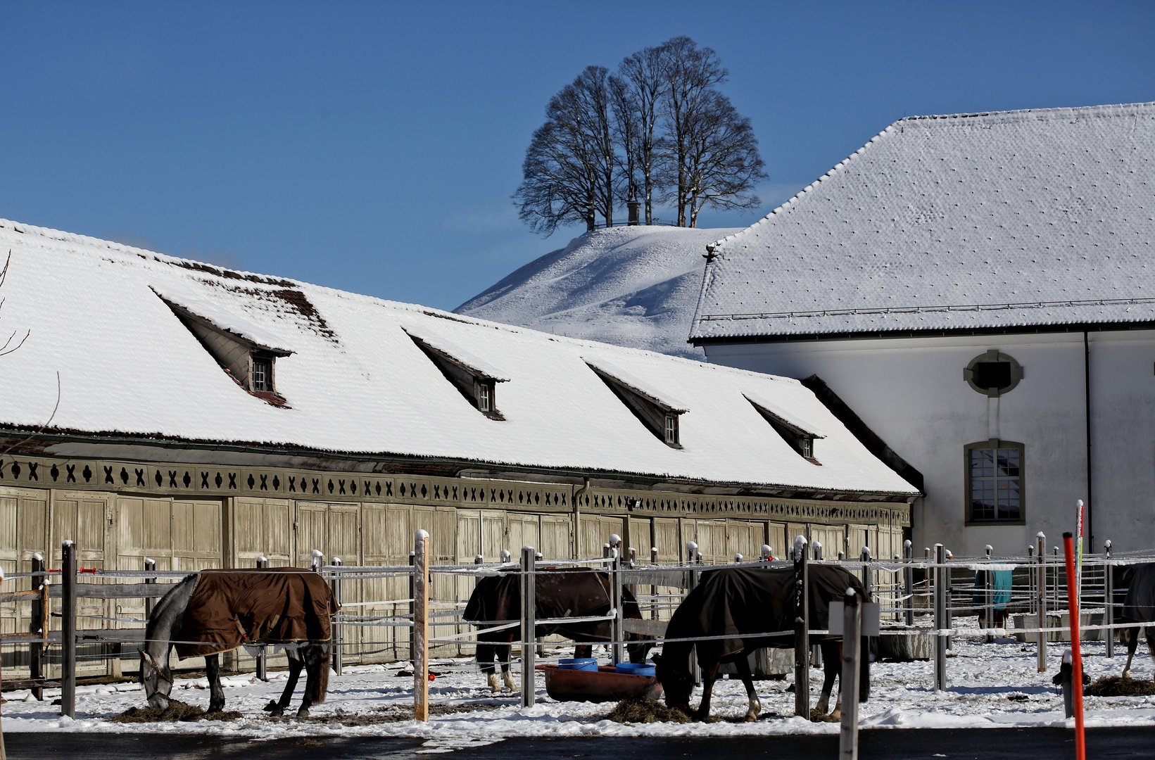 Klosterhof