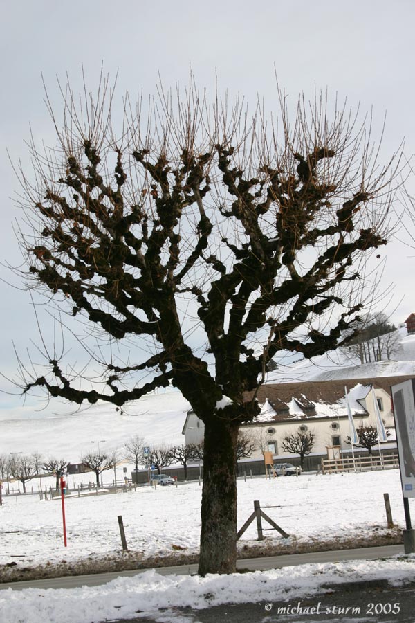 Klosteridylle Einsiedeln Schweiz