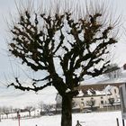 Klosteridylle Einsiedeln Schweiz