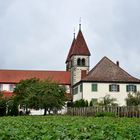 Klosterinsel Reichenau 3/1