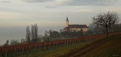 Klosterkirche Birnau im Herbst