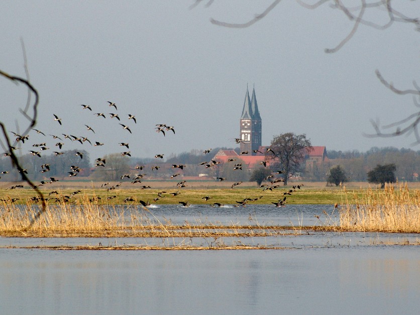 Klosterkirche Jerichow (30.03.2010)