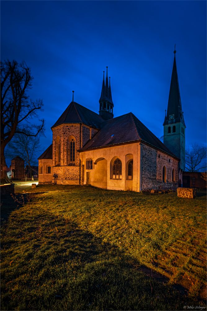 Klosterkirche St. Peter und Paul / Groß Ammensleben