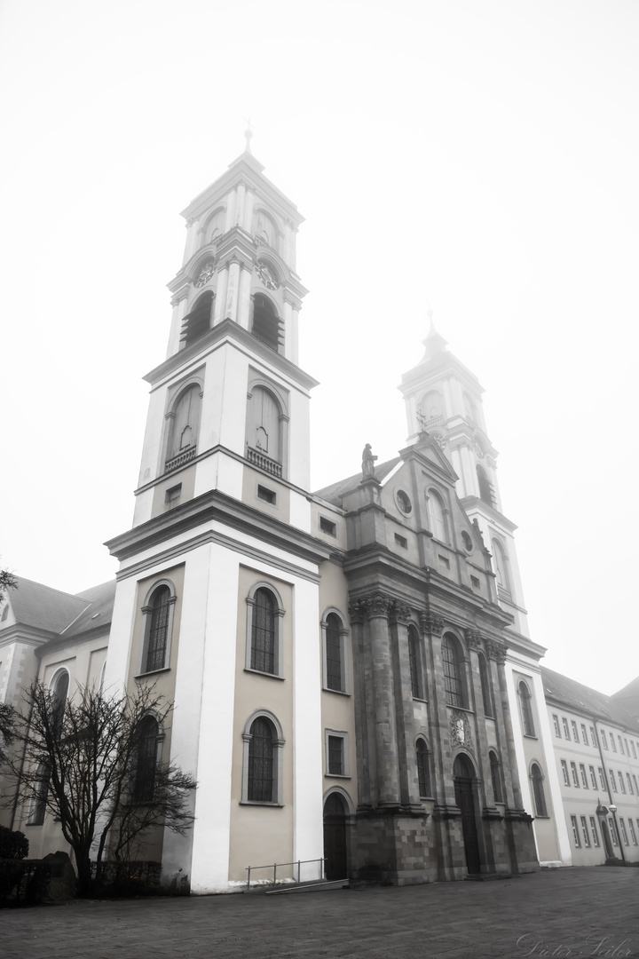 Klosterkirche St. Peter und Paul im Nebel
