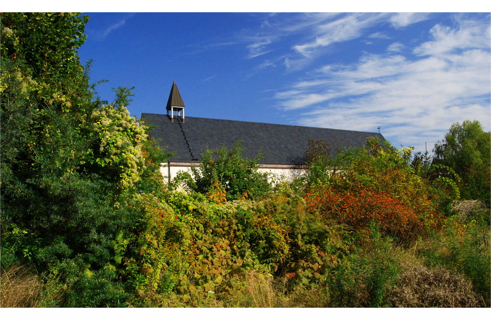 Klosterkirche zu Helfta im Herbst