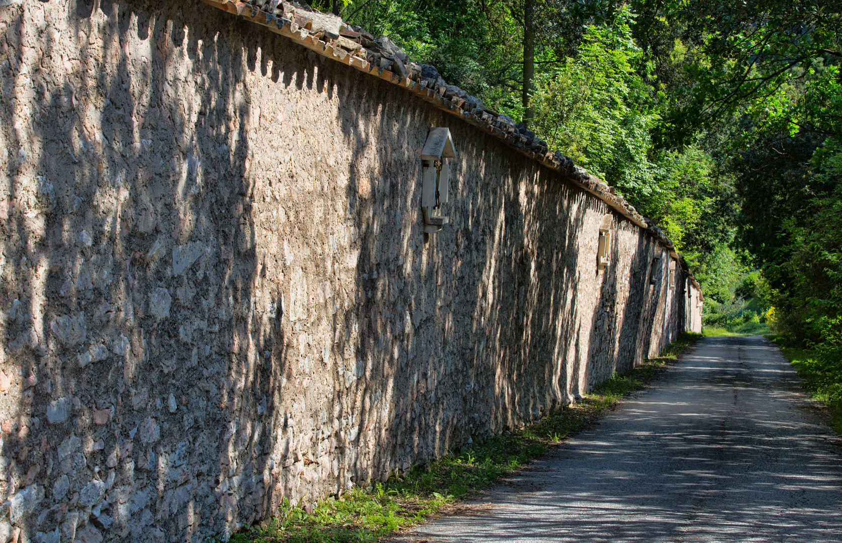 Klostermauer