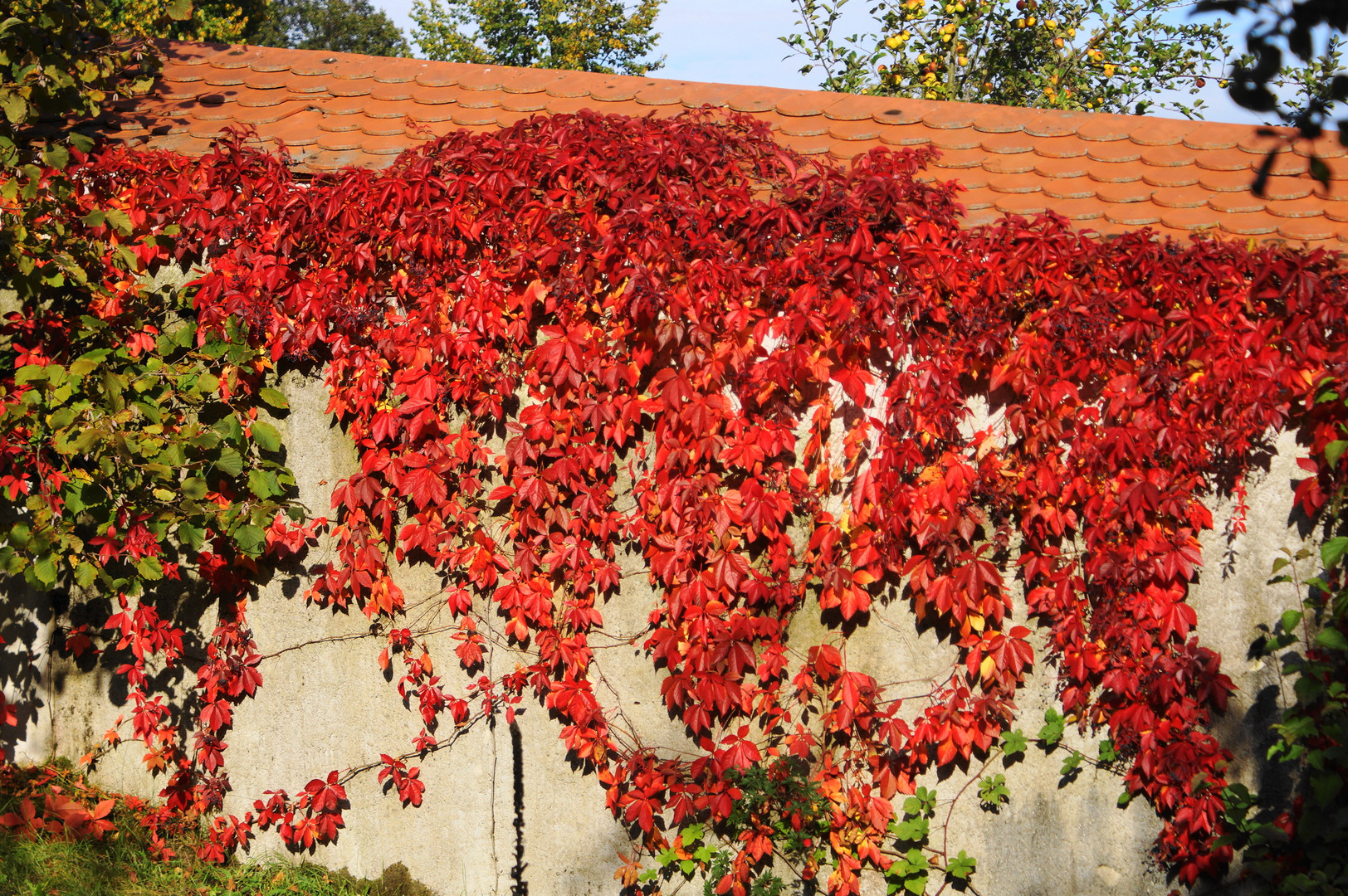 Klostermauer in Walderbach