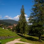 Klosterreichenbach Parkspaziergang