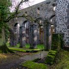 Kloster(ruine) Arnsburg