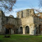 Kloster(ruine) Arnsburg