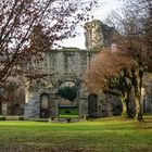 Kloster(ruine) Arnsburg