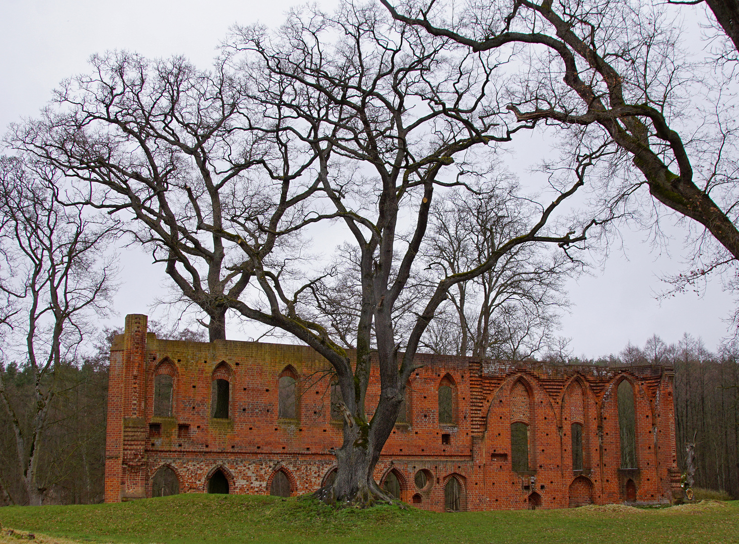 Klosterruine Boitzenburg