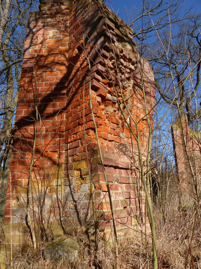 Klosterruine Boitzenburg