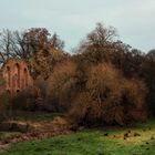 Klosterruine Boitzenburg